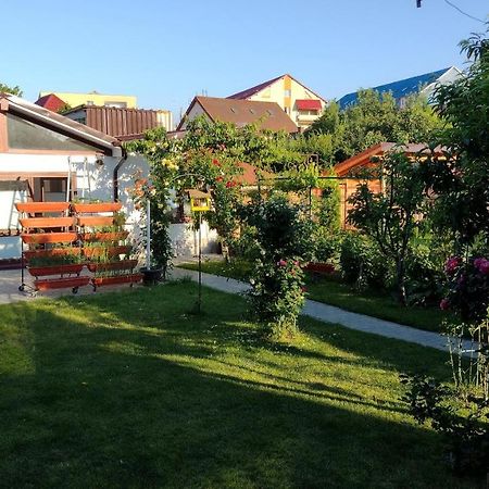 דירות סיביו Casa Ienciu מראה חיצוני תמונה